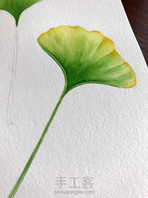 秋风瑟瑟-银杏水彩画法 第15步