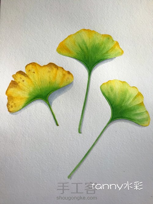 秋风瑟瑟-银杏水彩画法 第16步