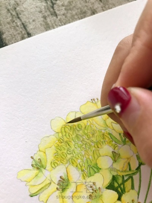 油菜花的水彩画法 第7步
