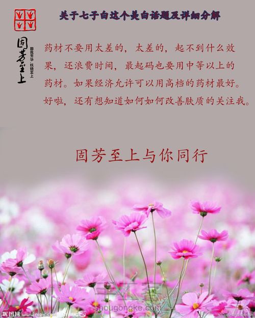 关于七子白这个美白话题及详细分解和配方 第4步