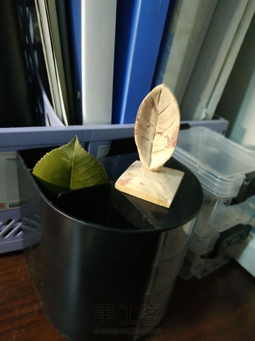 一叶知秋 人生第一个作品 第15步