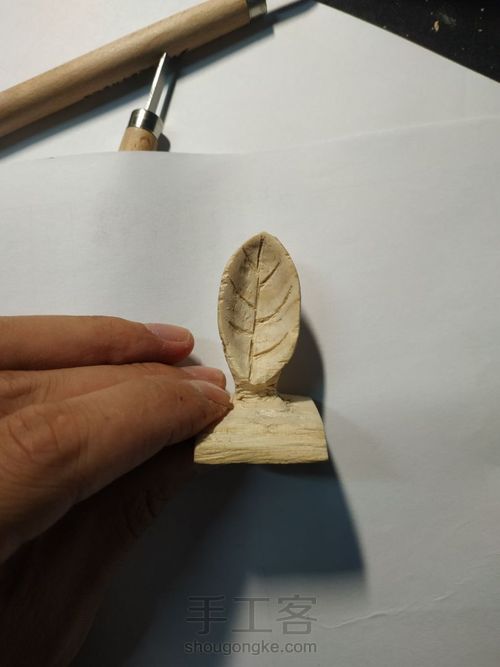 一叶知秋 人生第一个作品 第8步