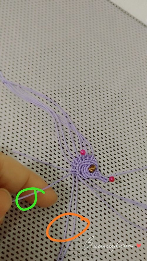 海马小海马🤗 第39步