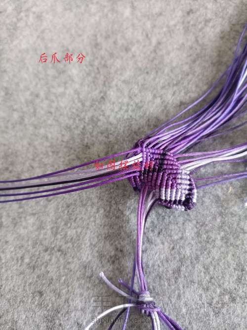 五彩小青蛙教程三 第3步