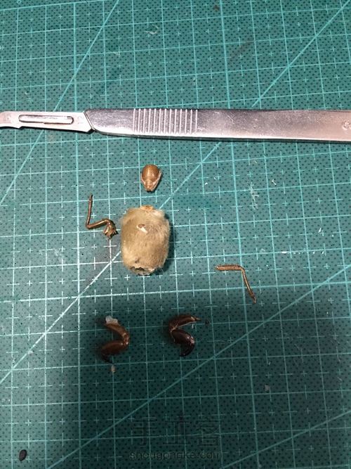 毛猴制作，北京娃娃的手办 第1步