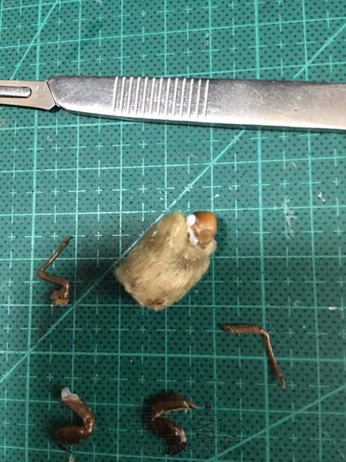 毛猴制作，北京娃娃的手办 第2步