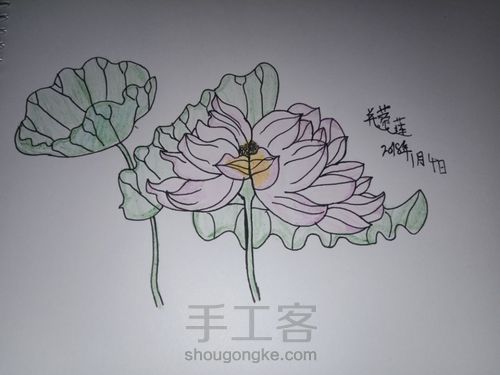 手绘并蒂莲 第7步