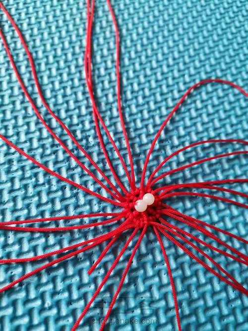 葫芦《整理》 第8步