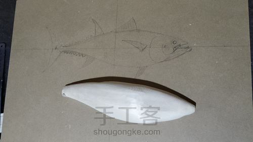 蓝旗金枪鱼 木鱼画制作 第3步