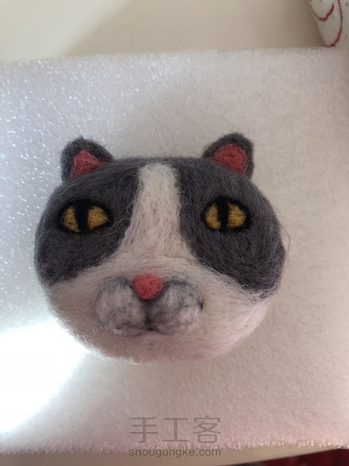 个性猫咪 第8步