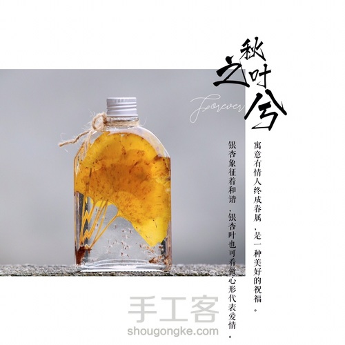 绽放永生之美的浮游花 第4步