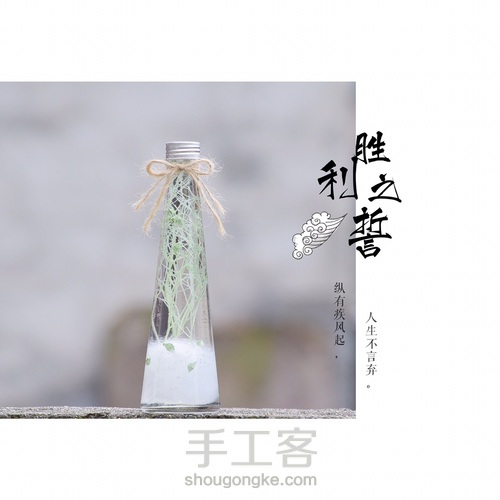 绽放永生之美的浮游花 第6步