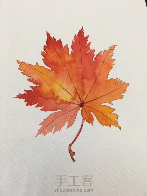 (原创)水彩枫叶 第3步