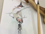 画一只不用铅笔起稿的小鸟，这种画法有点难，需要对小鸟的结果和动态有足够的了解才可以得到哦！