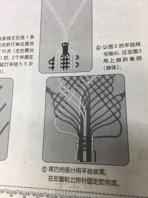 甲虫(图文转载) 第9步