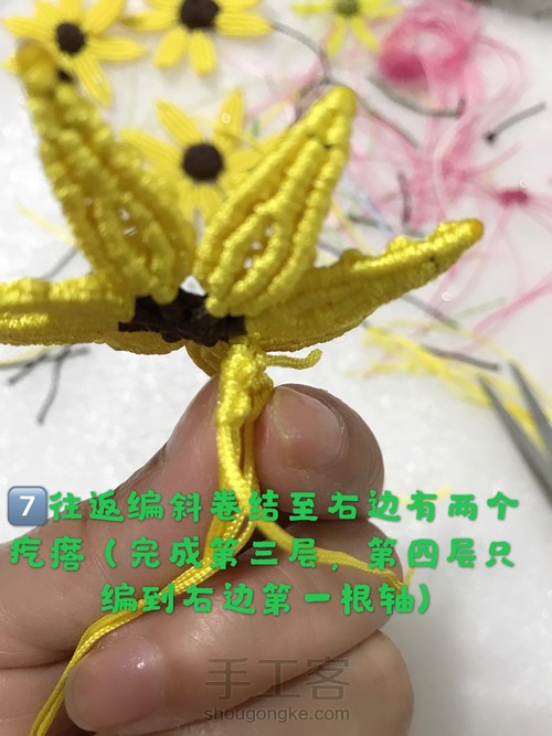 向阳花 第23步