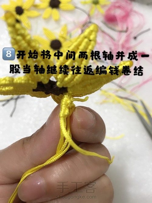 向阳花 第24步