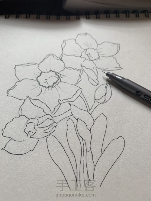 笔尖下的小时光 第1步