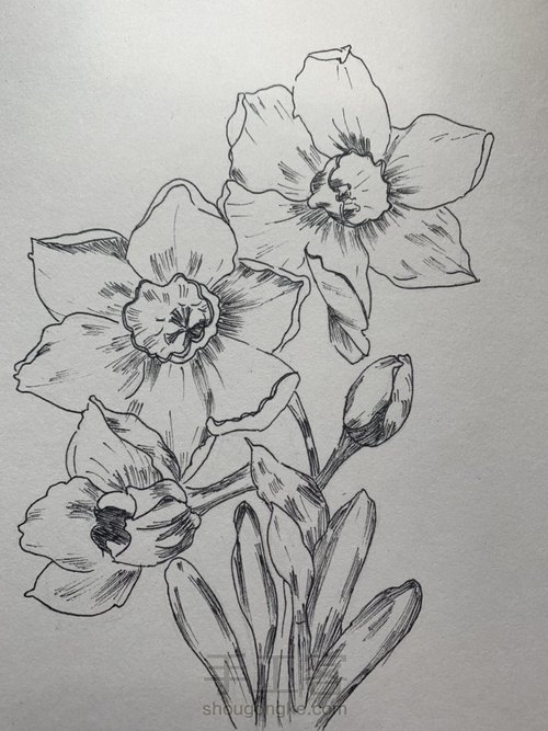 笔尖下的小时光 第2步