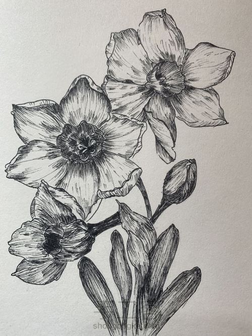 笔尖下的小时光 第3步