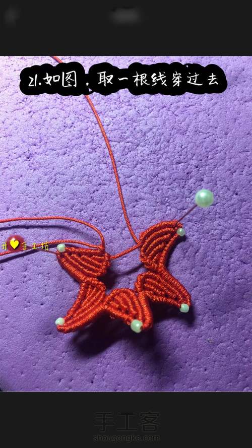 海星教程 第21步