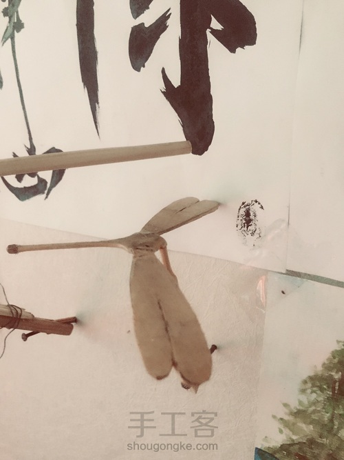 竹蜻蜓 蜻蜓点水平衡竹蜻蜓 DIY木艺 第20步