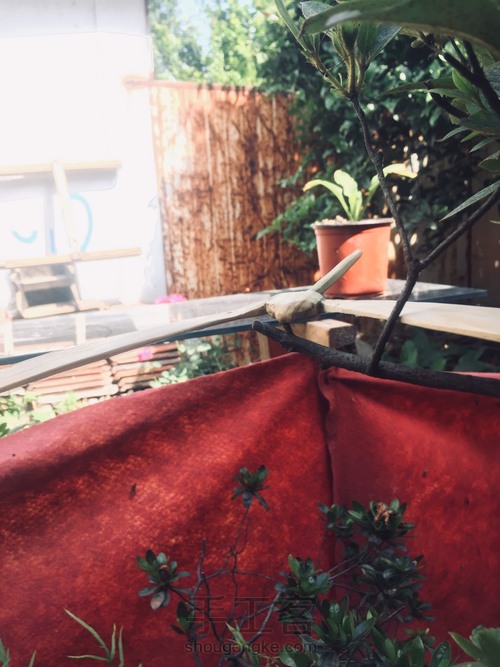 竹蜻蜓 蜻蜓点水平衡竹蜻蜓 DIY木艺 第23步