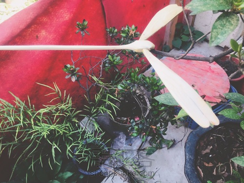 竹蜻蜓 蜻蜓点水平衡竹蜻蜓 DIY木艺 第25步