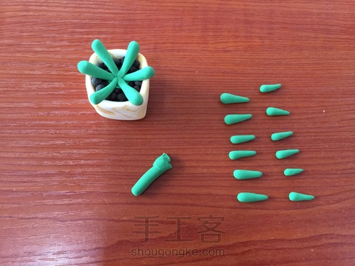 自己动手做多肉 第11步