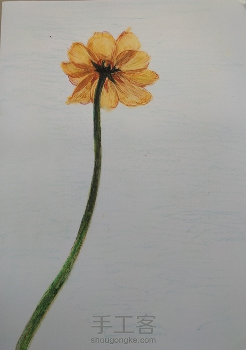 【油画棒】——《一束花》 第2步