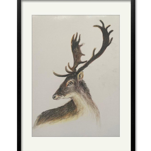 【油画棒】——《麋鹿》