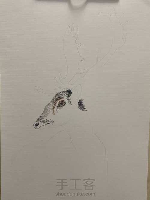 【油画棒】——《麋鹿》 第2步