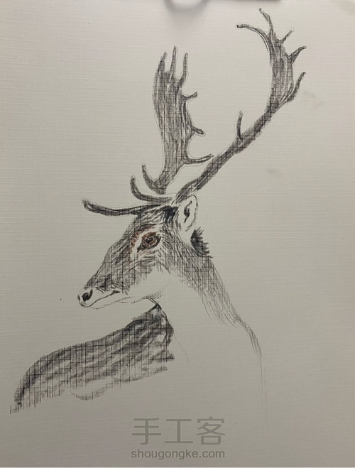 【油画棒】——《麋鹿》 第3步