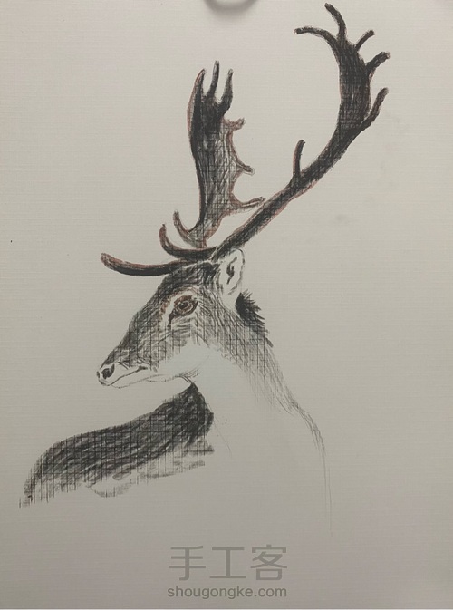 【油画棒】——《麋鹿》 第4步