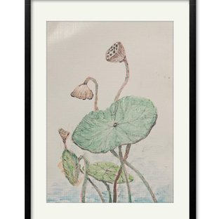 【色粉画】——《莲蓬》