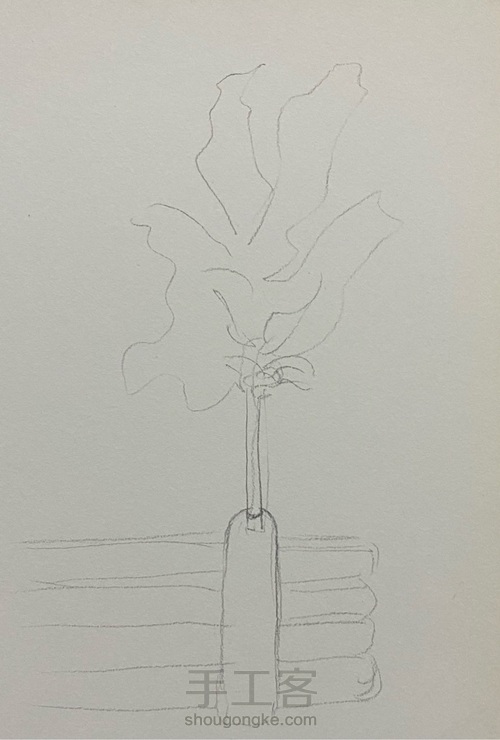 【油画棒】——《花卉》 第1步
