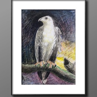 【油画棒】——《鹰》