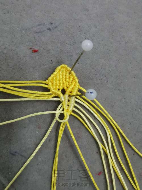 玉线桃花 第11步