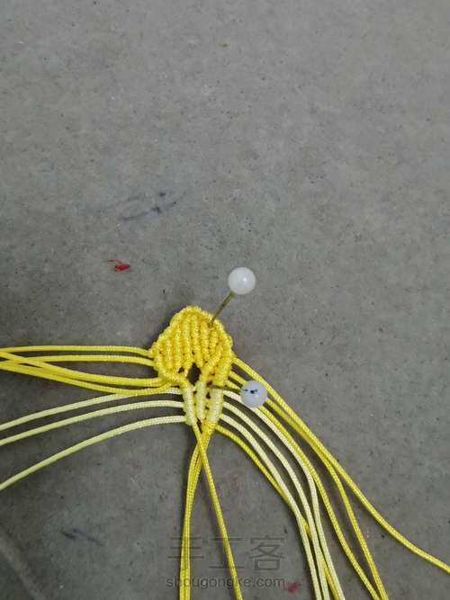 玉线桃花 第12步