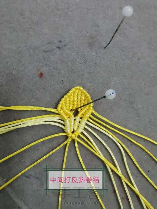 玉线桃花 第15步