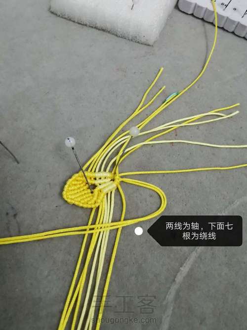 玉线桃花 第16步