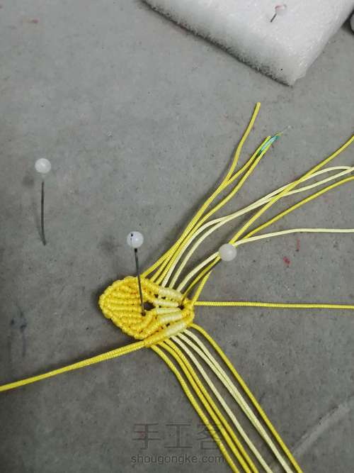 玉线桃花 第17步