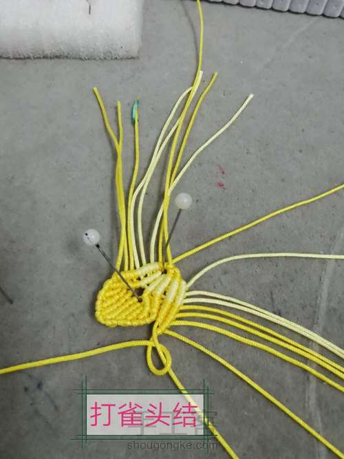 玉线桃花 第20步