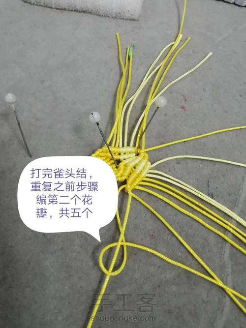 玉线桃花 第21步