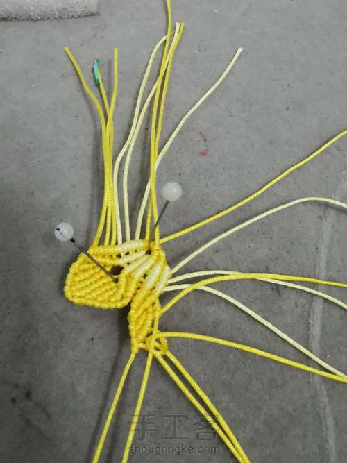 玉线桃花 第22步