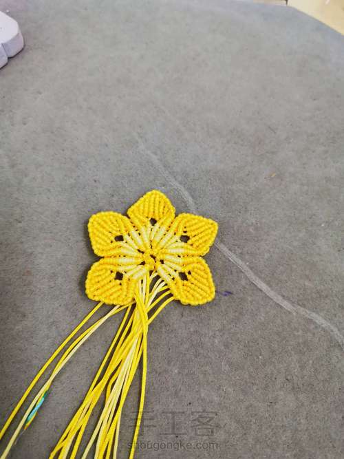 玉线桃花 第24步