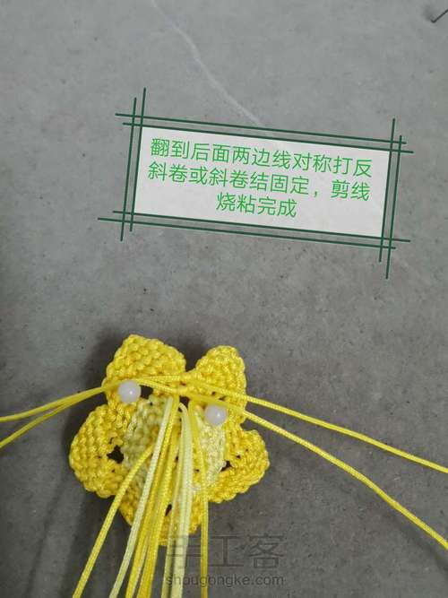 玉线桃花 第25步