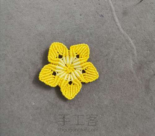 玉线桃花 第27步