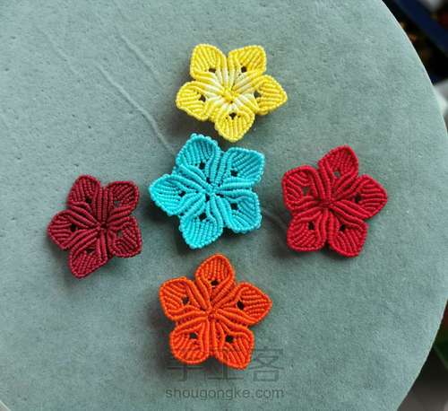 玉线桃花 第29步