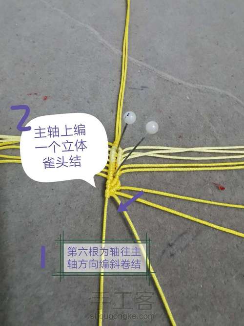 玉线桃花 第3步